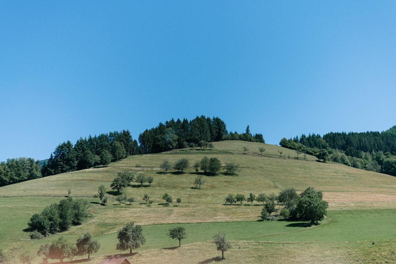 Moderne 2 Zi.-Fewo Blackforestart Naehe Freiburg 시몬스발드 외부 사진